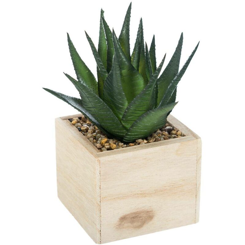 foto del prodotto atmosphera pianta artificiale h14cm modello 3 cr ateur d int rieur
