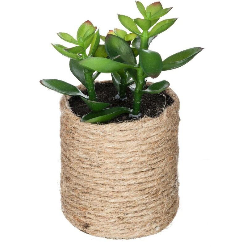 foto del prodotto atmosphera pianta artificiale h16cm modello 2 cr ateur d int rieur
