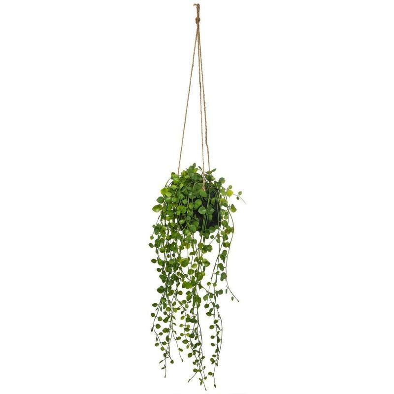 foto del prodotto atmosphera pianta artificiale ricadente living vaso in cemento d10cm cr ateur d int rieur