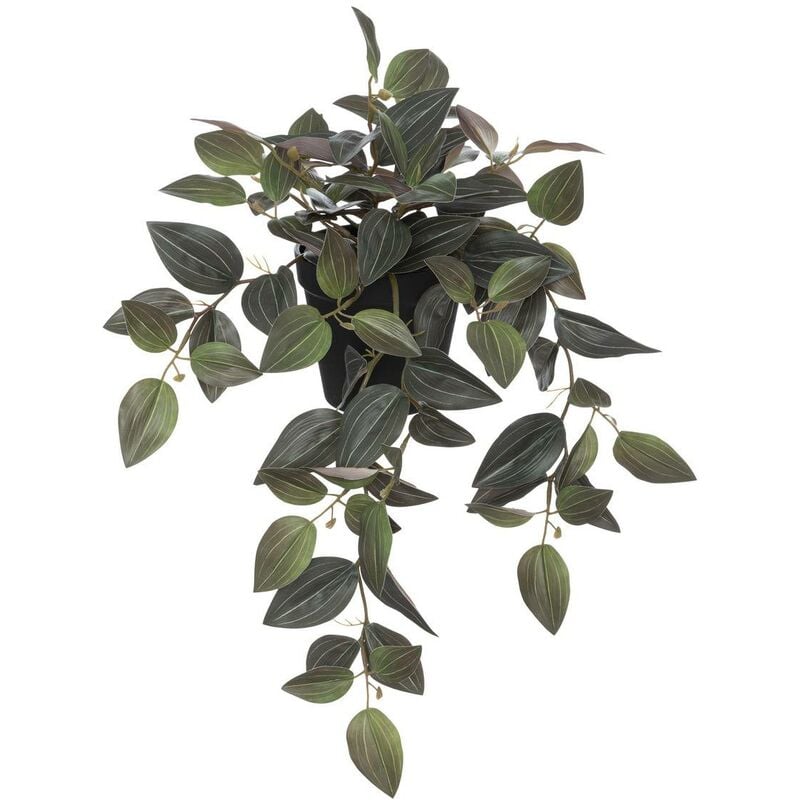 foto del prodotto atmosphera pianta artificiale the collector h45cm nero cr ateur d int rieur