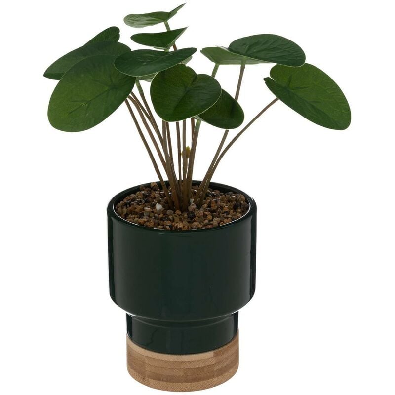 foto del prodotto atmosphera pianta artificiale the collector in ceramica e bamb h26cm verde scuro cr ateur d int rieur
