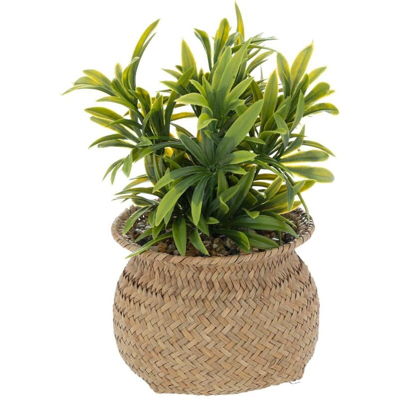 foto del prodotto atmosphera pianta di canna artificiale jiling in vaso h20cm cr ateur d int rieur