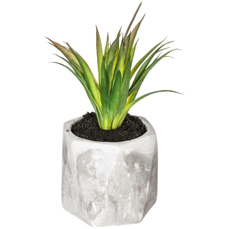 foto del prodotto atmosphera pianta grassa artificiale vaso in cemento h14cm modello a cr ateur d int rieur