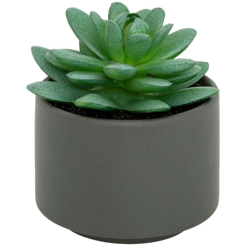 foto del prodotto atmosphera pianta grassa in vaso h13 mod le c gris cr ateur d int rieur