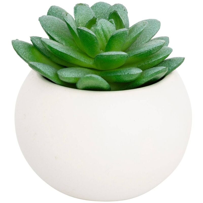 foto del prodotto atmosphera pianta grassa in vaso h13 mod le h blanc cr ateur d int rieur