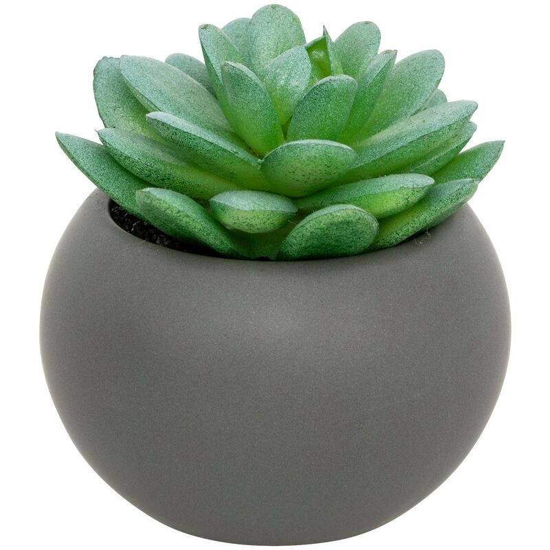 foto del prodotto atmosphera pianta grassa in vaso h13 mod le h gris cr ateur d int rieur