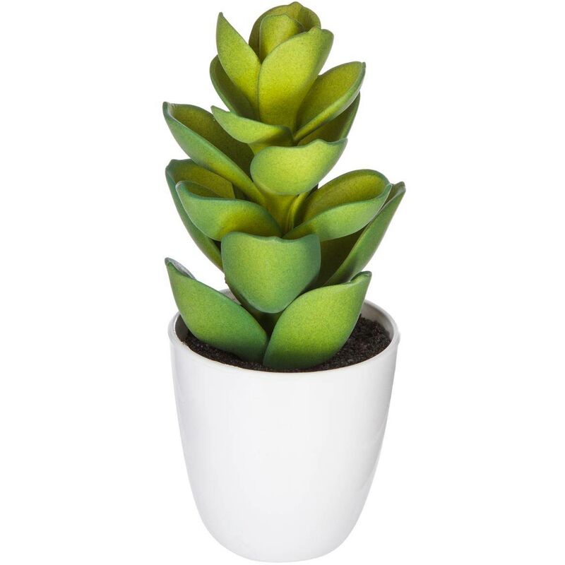 foto del prodotto atmosphera pianta succulenta e cactus h18cm modello a cr ateur d int rieur