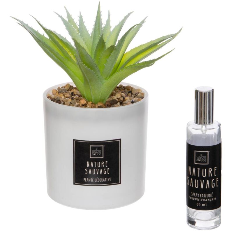 foto del prodotto atmosphera scatola di profumo cactus 16x19cm cr ateur d int rieur