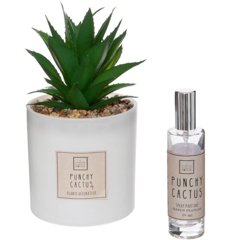 foto del prodotto atmosphera scatola di profumo cactus 16x19cm cr ateur d int rieur