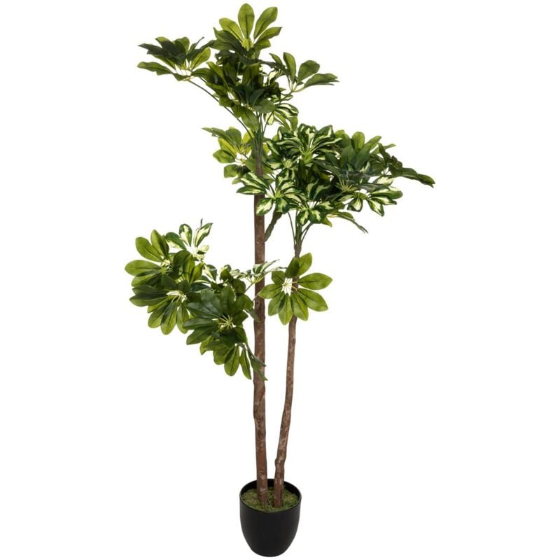 foto del prodotto atmosphera schefflera artificiale h130cm cr ateur d int rieur