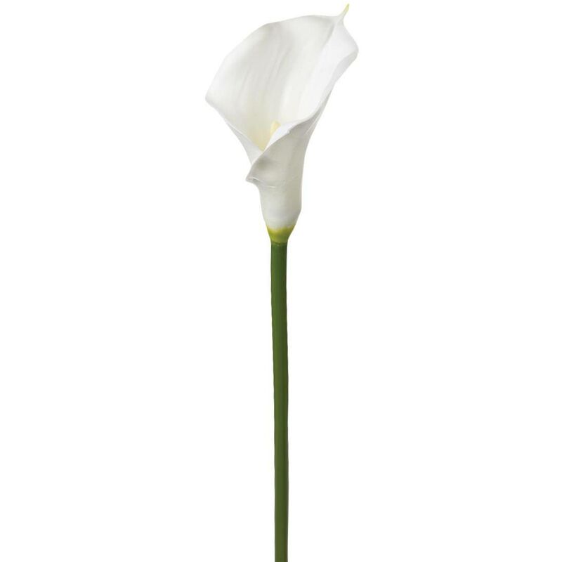 foto del prodotto atmosphera stelo di arum artificiale bianco h75cm cr ateur d int rieur