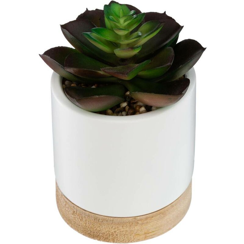 foto del prodotto atmosphera succulente artificiali in ceramica h12cm verde scuro cr ateur d int rieur