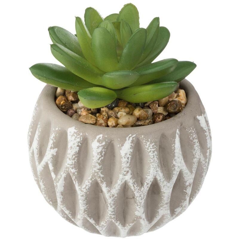 foto del prodotto atmosphera vaso di cemento per succulente artificiali h9cm ovale cr ateur d int rieur