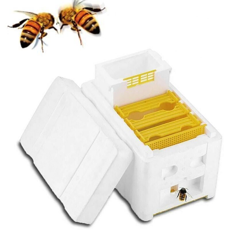 immagine 0 del prodotto attrezzi per apicoltura scatola per accoppiamento api scatola per allevamento in schiuma scatola per impollinazione scatola per allevamento a doppio