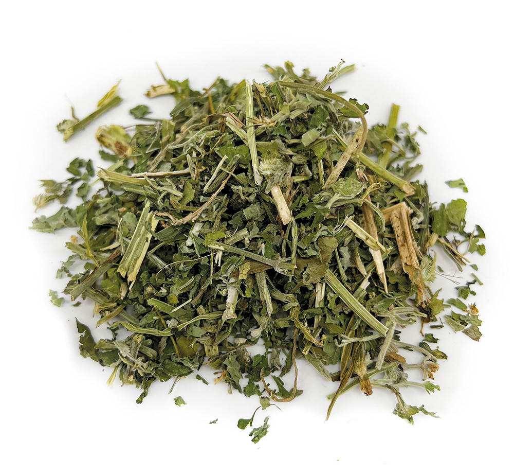 foto del prodotto aum ller catnip fresco 60 g