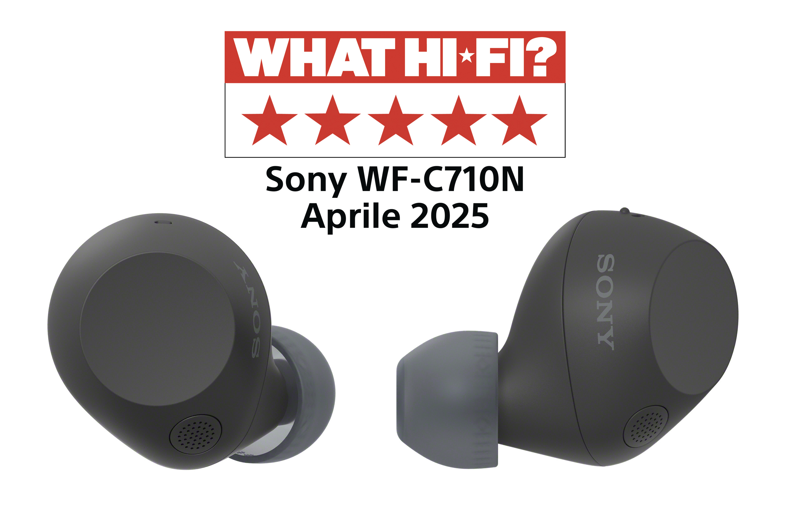 foto del prodotto auricolari treu wireless wfc710nb