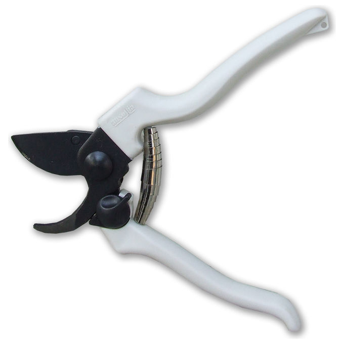 foto del prodotto ausonia 31145 forbice vigna 19cm teflon