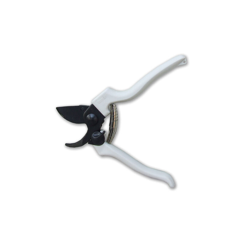 foto del prodotto ausonia forbice vigna cm 19 teflon 31145