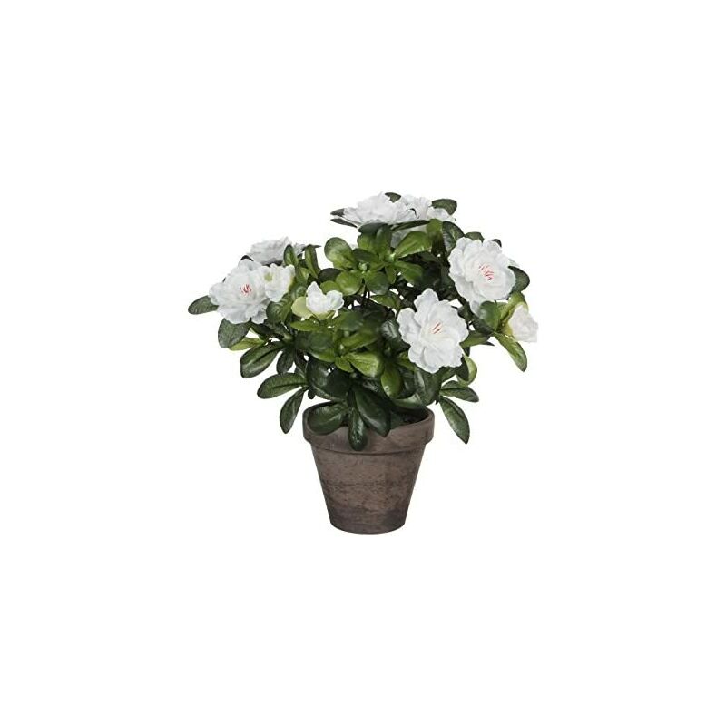 foto del prodotto azalea artificiale bianca in vaso grigio 11,5cmx27x20cm