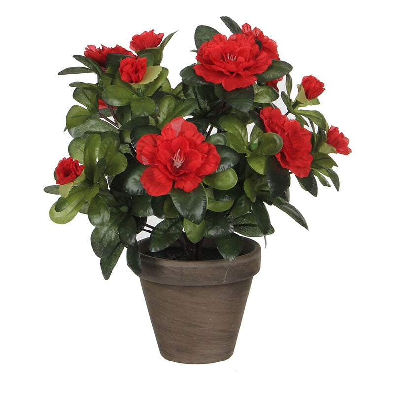 foto del prodotto azalea rossa artificiale in vaso grigio 11,5cmx27x20cm