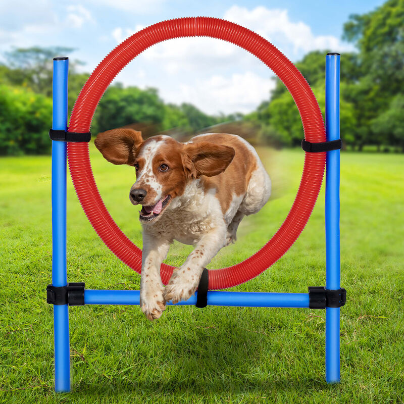 foto del prodotto bakaji anello di salto per cani agility dog addestramento cani ostacoli con borsa