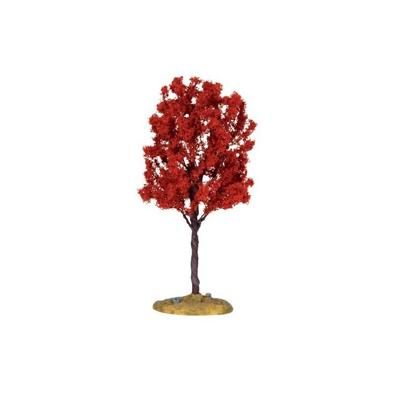 foto del prodotto baldcypress tree medium cod. 44801