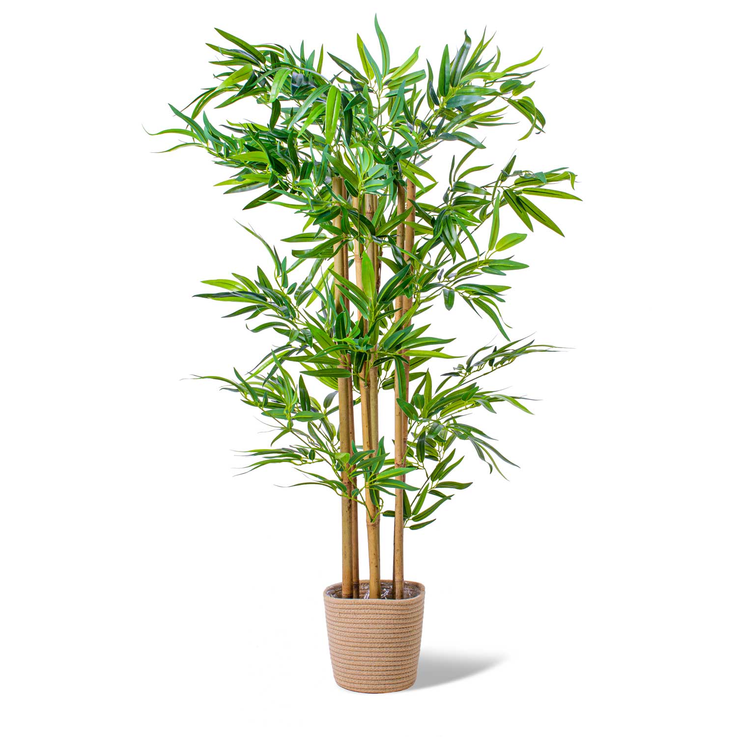 foto del prodotto bamboo pianta artificiale in vaso h120 cm