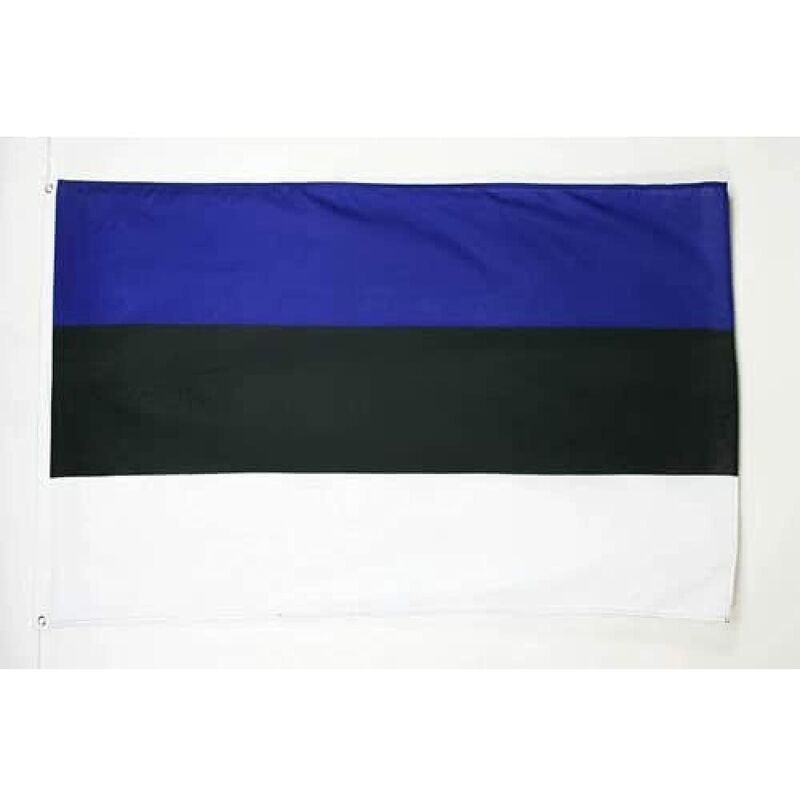 foto del prodotto bandiera estonia 90x60cm gran bandiera estone 60 x 90 cm poliestere leggero bandiere az flag