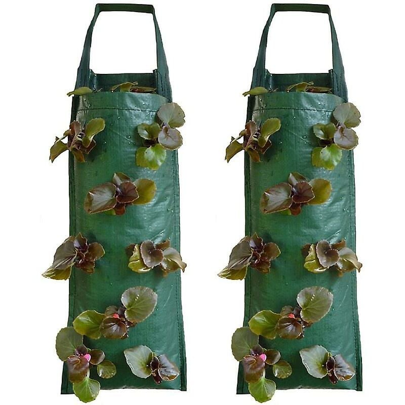 foto del prodotto baoye growbag per fioriere per fragole sospese 2 pezzi, verde 