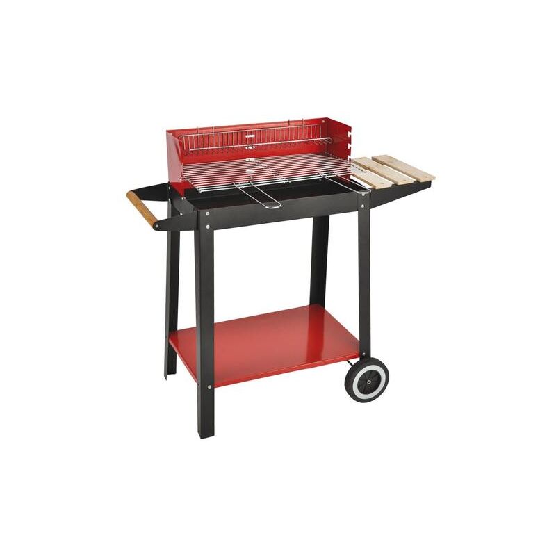 foto del prodotto barbecue carbone montana