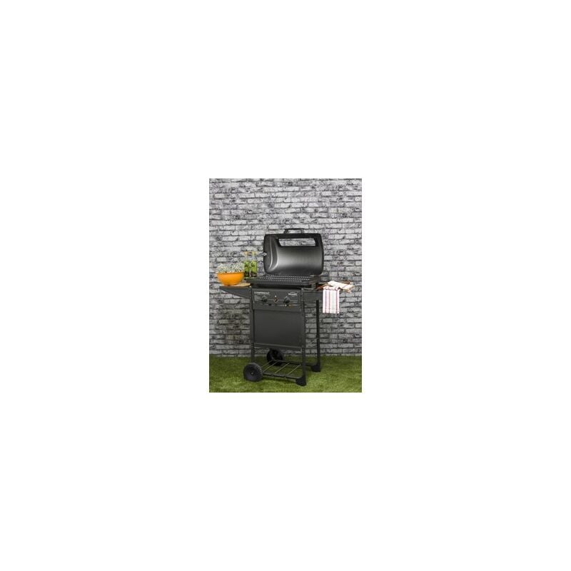 foto del prodotto barbecue expert 2 plus a pietra lavica kw 7 kg. 23 cm. 110x50x111h