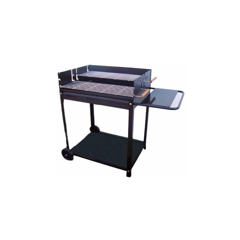 foto del prodotto barbecue xl double p a carbone
