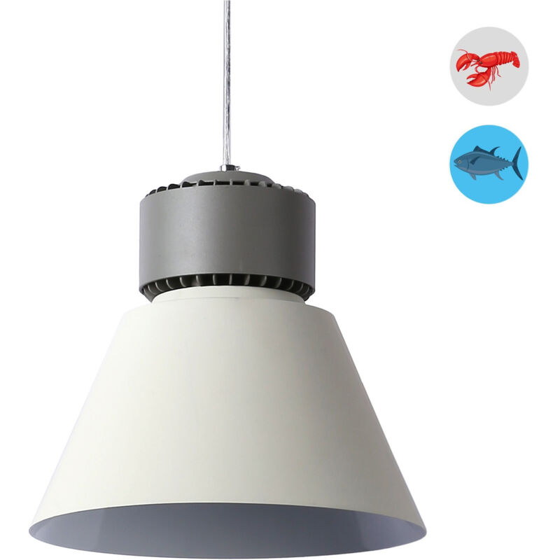 foto del prodotto barcelona led campana led 36w per pesce e frutti di mare driver kegu