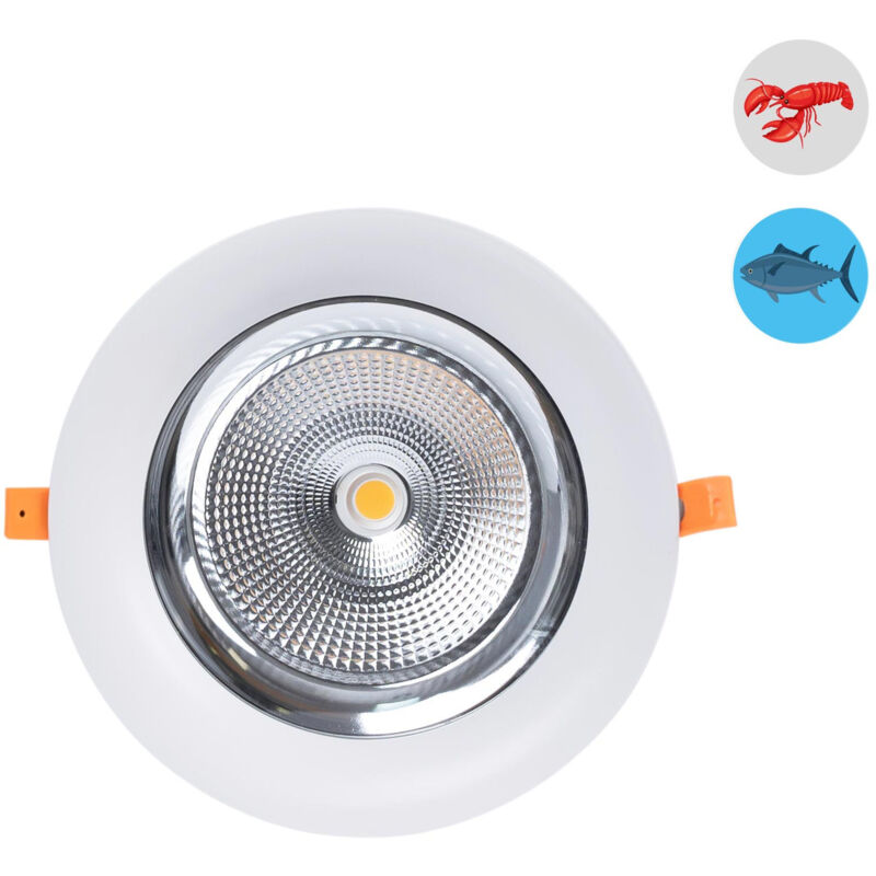 foto del prodotto barcelona led downlight led speciale per pescherie 40w driver philips 