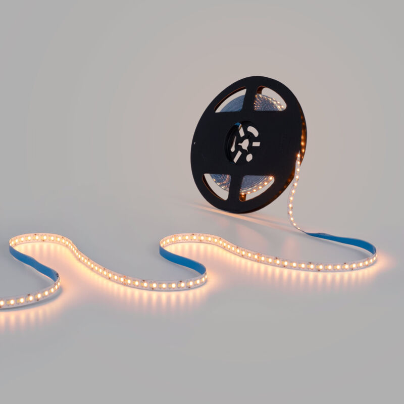 foto del prodotto barcelona led striscia led 48v dc cct 12w m 10mm ip20 10 metri 224