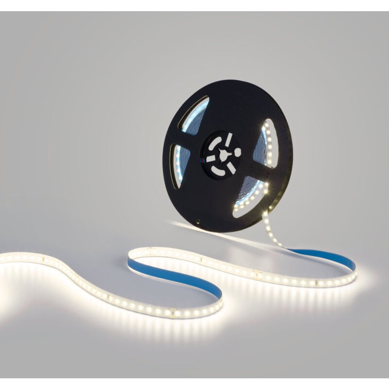 foto del prodotto barcelona led striscia led 48v dc monocolore 12w m 10mm ip20 10 metri bianco neutro