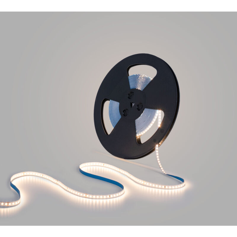 foto del prodotto barcelona led striscia led 48v dc monocolore 12w m 10mm ip20 20 metri bianco caldo