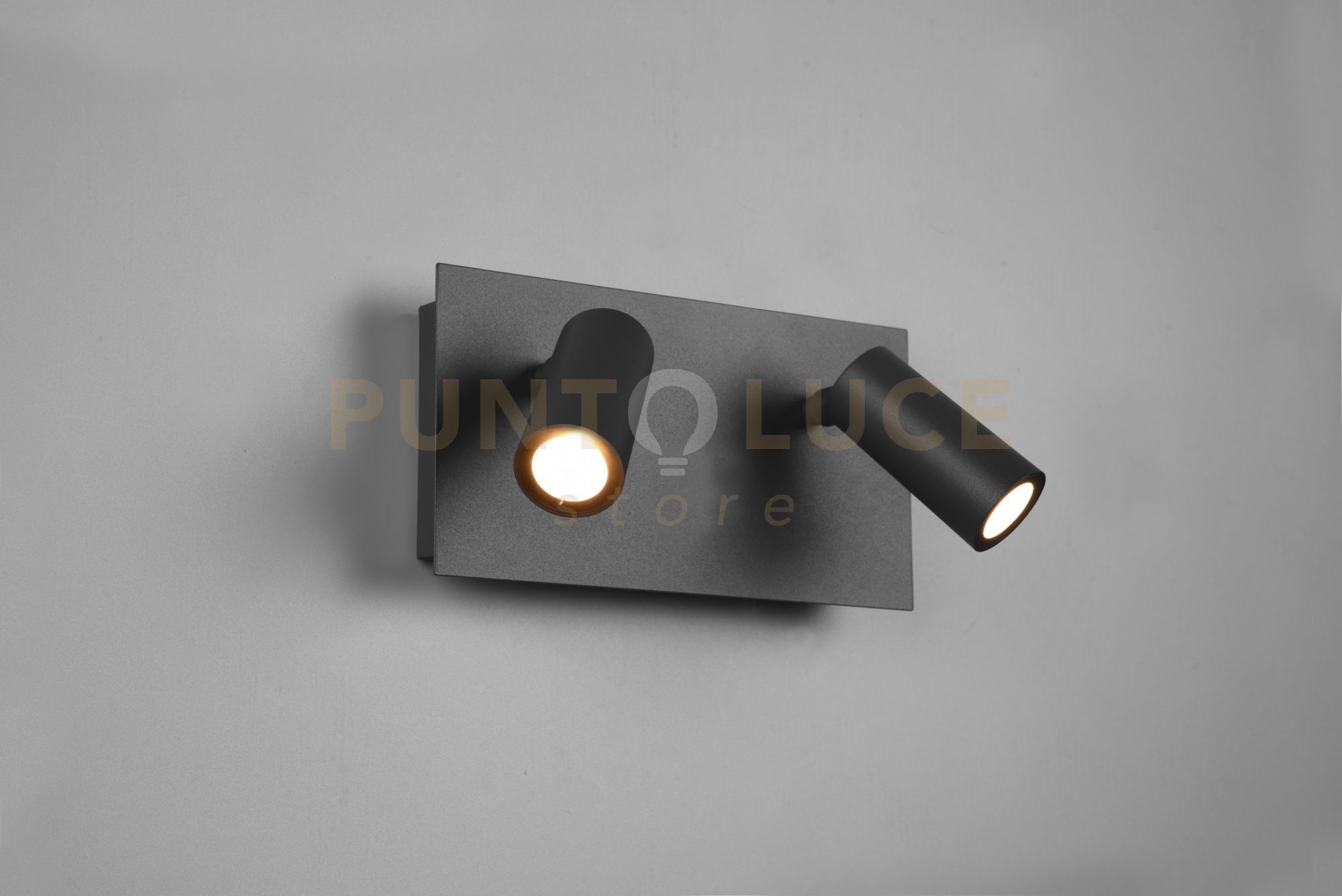 foto del prodotto barra tunga led 2 spots orientabili antracite 222960242