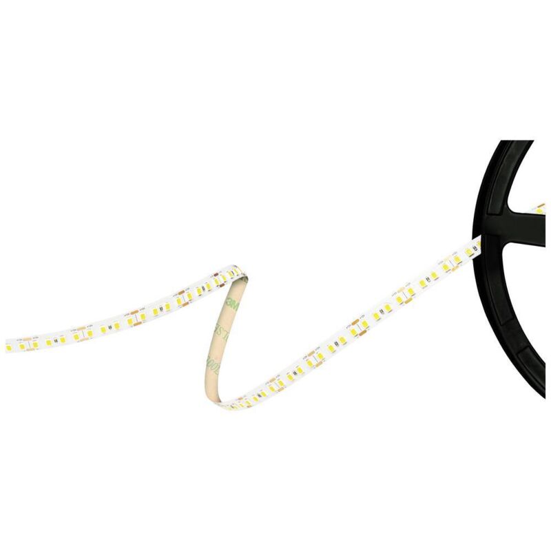 foto del prodotto barthelme 51541434 striscia led 12 v 5000 mm bianco freddo 5 m
