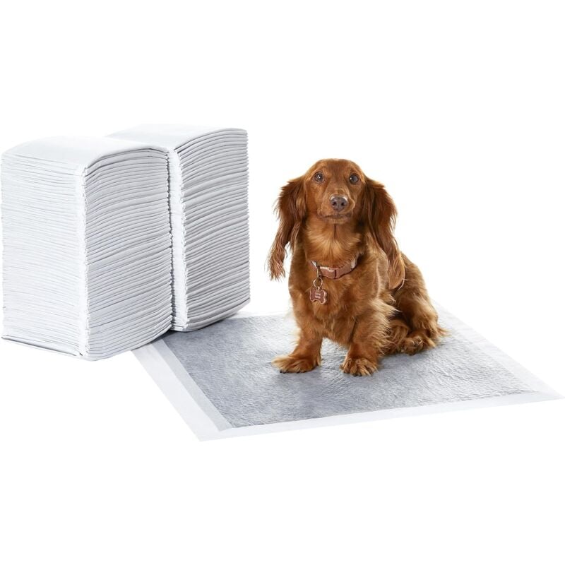 foto del prodotto basics confezione da 100 assorbenti igienici per cani, con carbone attivo per il controllo degli odori, anti perdita, superficie ad asciugatura