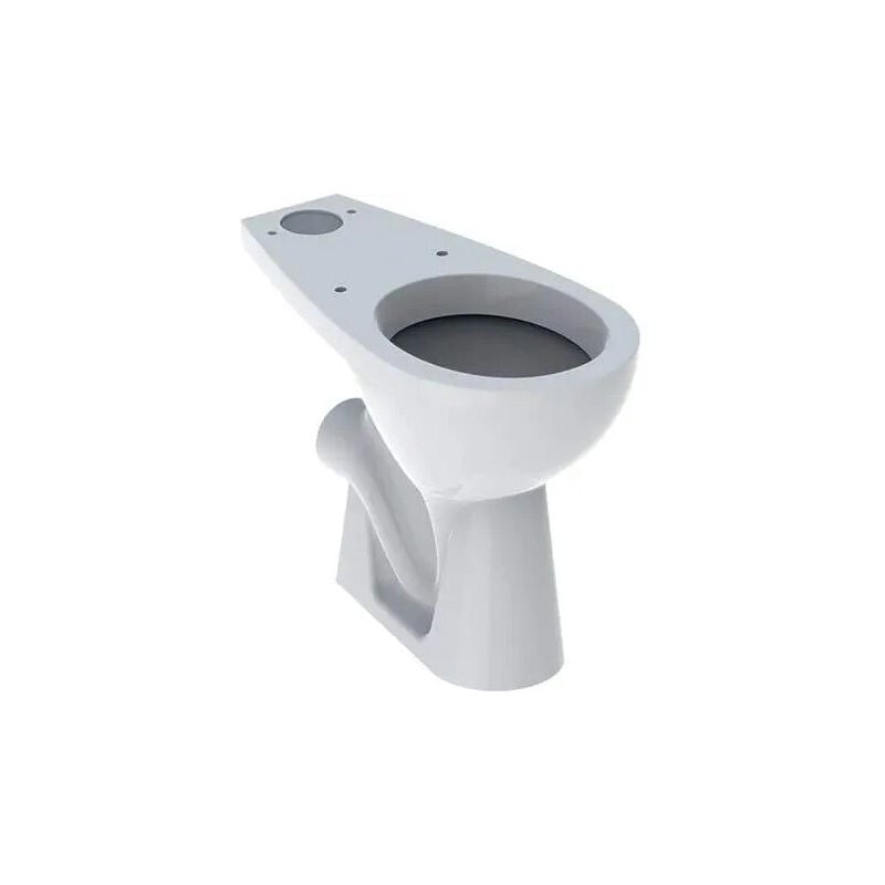 foto del prodotto bastia vasca singola rialzata con scarico orizzontale