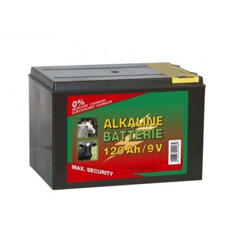 foto del prodotto batteria a secco alcalina 9v 170 ah