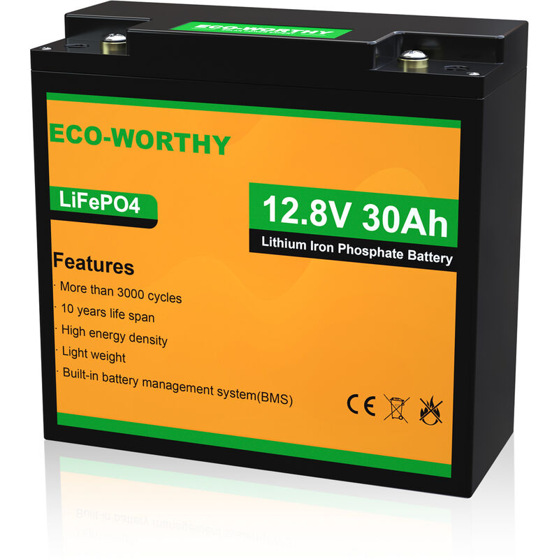 foto del prodotto batteria al litio ricaricabile 12v 30ah lifepo4 con oltre 3000 cicli profondi e protezione bms per quad per bambini, veicolo per bambini, motore
