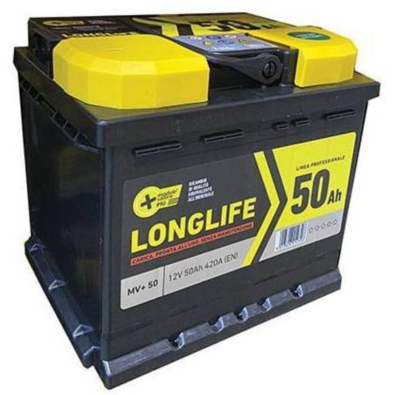 foto del prodotto batteria auto modulo valore ah 50 dx spunto 420a mm 207x175 h.mm 190