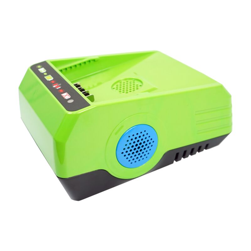 foto del prodotto batteria caricabatteria 60v