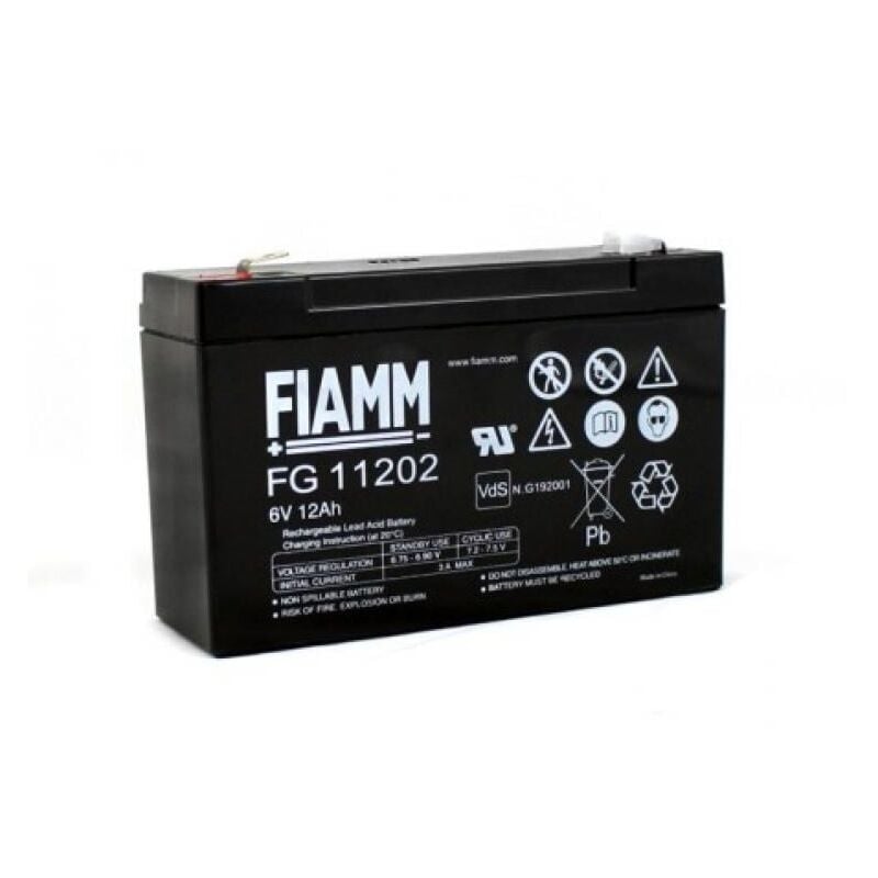 foto del prodotto batteria fiamm fg11202 6v 12ah