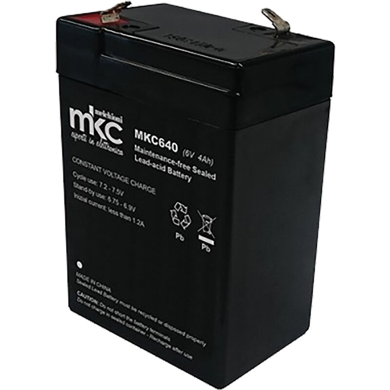foto del prodotto batteria ricaricabile small mm.67 x 34 x h.99 3,2 ah
