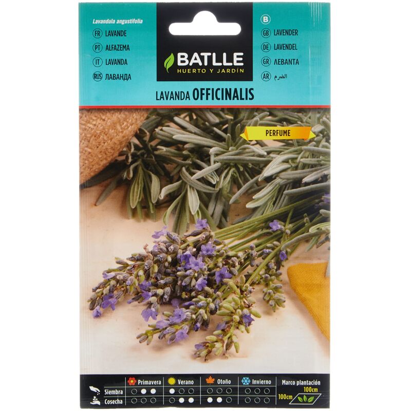 foto del prodotto battle semi aromatici lavanda officinalis semi 40cm 