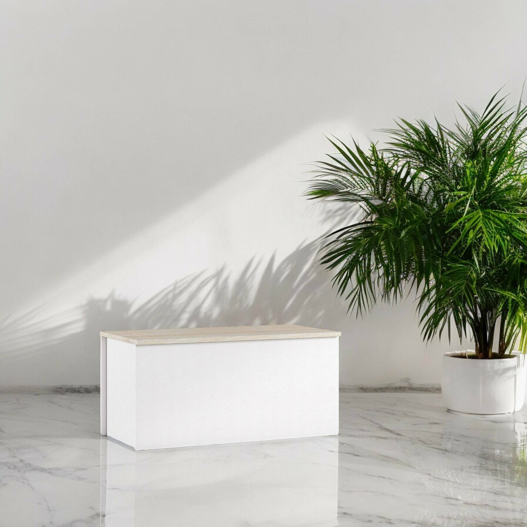 foto del prodotto baule ayusnay, capiente box contenitore multiuso, cassapanca moderna, made in italy, cm 90x45h45, bianco e rovere