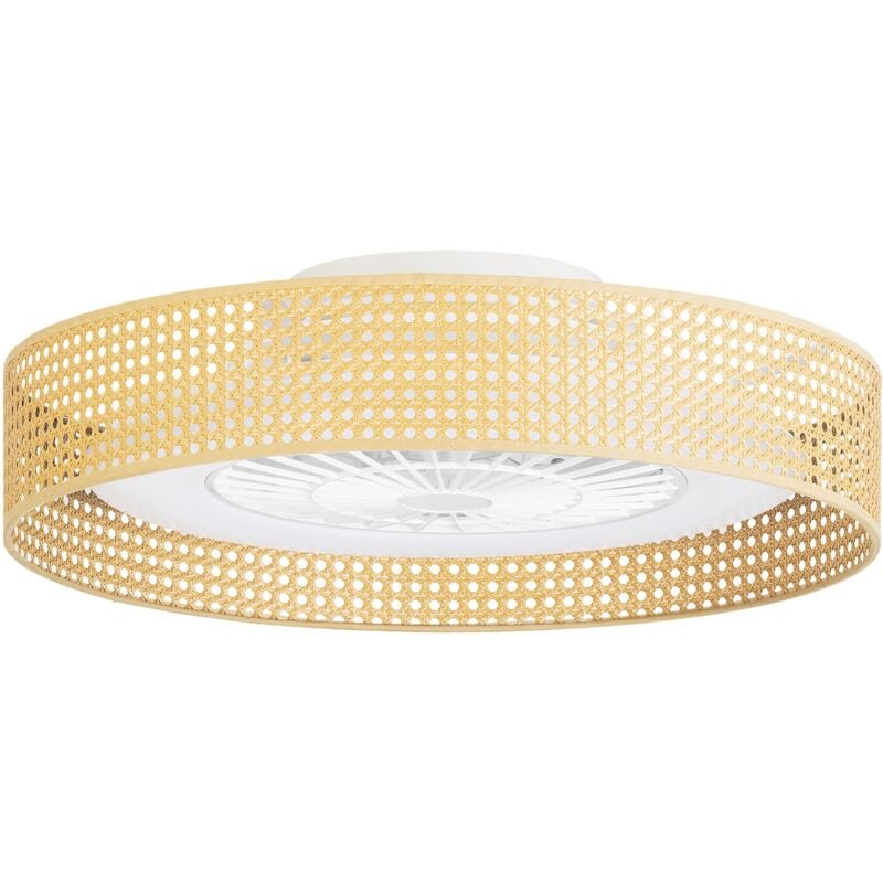 foto del prodotto bea ventilatore a soffitto con luce led. silenzioso. 6 velocit . regolatore di intensit e temperatura del colore. vimini.